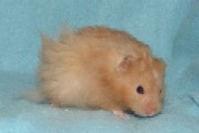 wp27df2f46.jpg