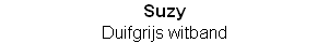 wp64f8e998.png