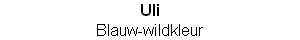 wp7d193136.png